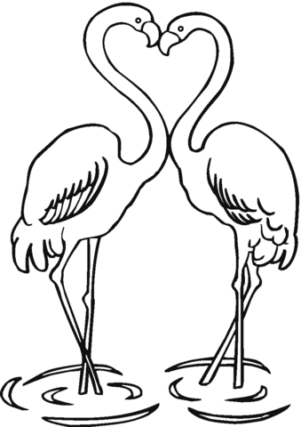 Couple Of Flamingo Coloring Page